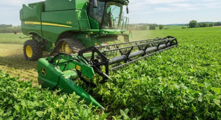 Agrifood: betting on local production